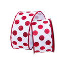 GLITTER DOTS (IN STOCK)-3