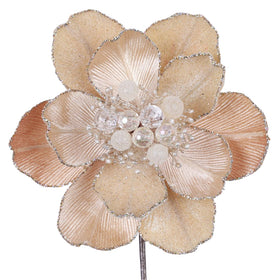 Buy champagne GRAND MAGNOLIA STEM (PREORDER)