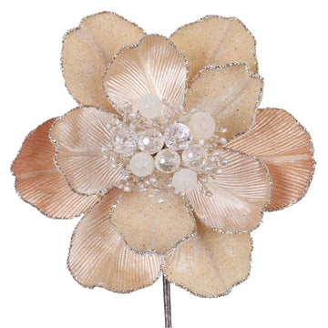 Buy champagne GRAND MAGNOLIA STEM (PREORDER)