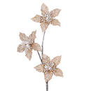 STAR SPRAY (IN STOCK)-6