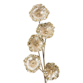 Buy champagne CRYSTAL POD (PREORDER)