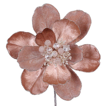 Buy cappuccino GRAND MAGNOLIA STEM (IN STOCK)