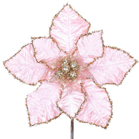 Buy light-pink TINSEL POINSETTIA (IN STOCK)