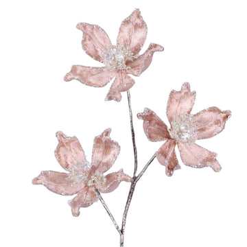 Buy cappuccino MYSTIC MAGNOLIA SPRAY (IN STOCK)