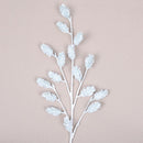 SHERWOOD PINE (PREORDER)-4