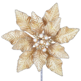 Buy gold BERRY POINSETTIA (PREORDER)