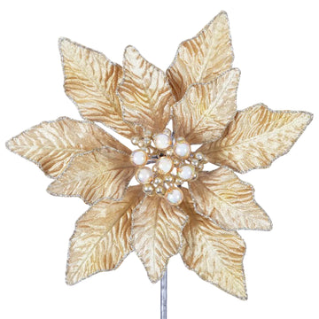 Buy gold BERRY POINSETTIA (PREORDER)