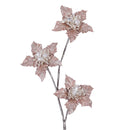 STAR SPRAY (IN STOCK)-3