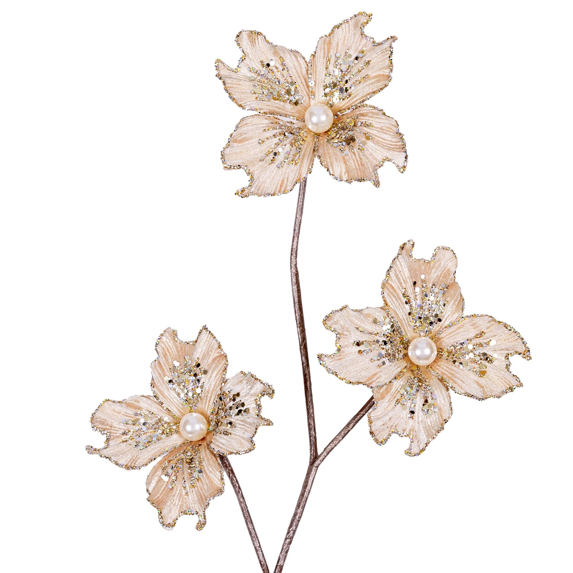 VICTORIAN DOGWOOD (IN STOCK)