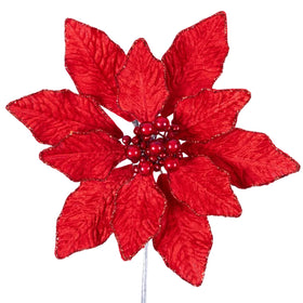 BERRY POINSETTIA (PREORDER)