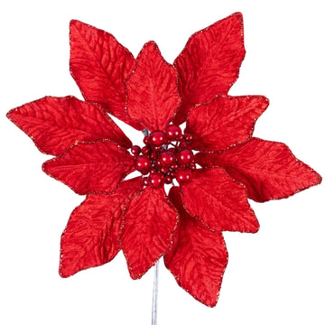 BERRY POINSETTIA (PREORDER)