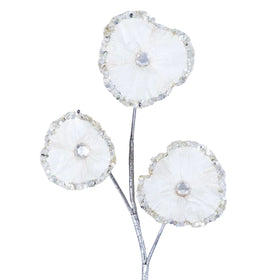 Buy ivory CHRISTMAS GLORY (PREORDER)