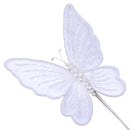 MAGICAL BUTTERFLY (IN STOCK)-5