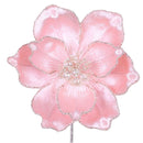 MYSTIC GRAND MAGNOLIA (IN STOCK)-3