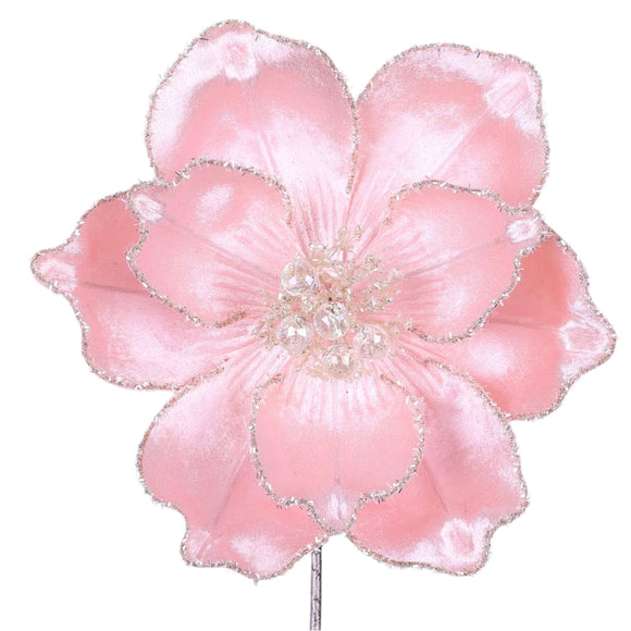 MYSTIC GRAND MAGNOLIA (IN STOCK)