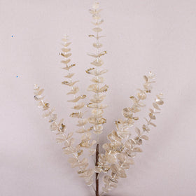 Buy ivory EUCALYPTUS (PREORDER)