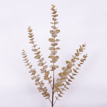 Buy champagne EUCALYPTUS (PREORDER)