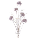 SUGARPLUM PUFF (IN STOCK)-1