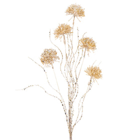 Buy champagne SUGARPLUM PUFF (IN STOCK)