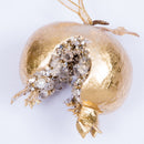 DAZZLING JEWEL POMEGRANATE (IN STOCK)-2