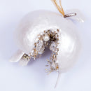DAZZLING JEWEL POMEGRANATE (IN STOCK)-5