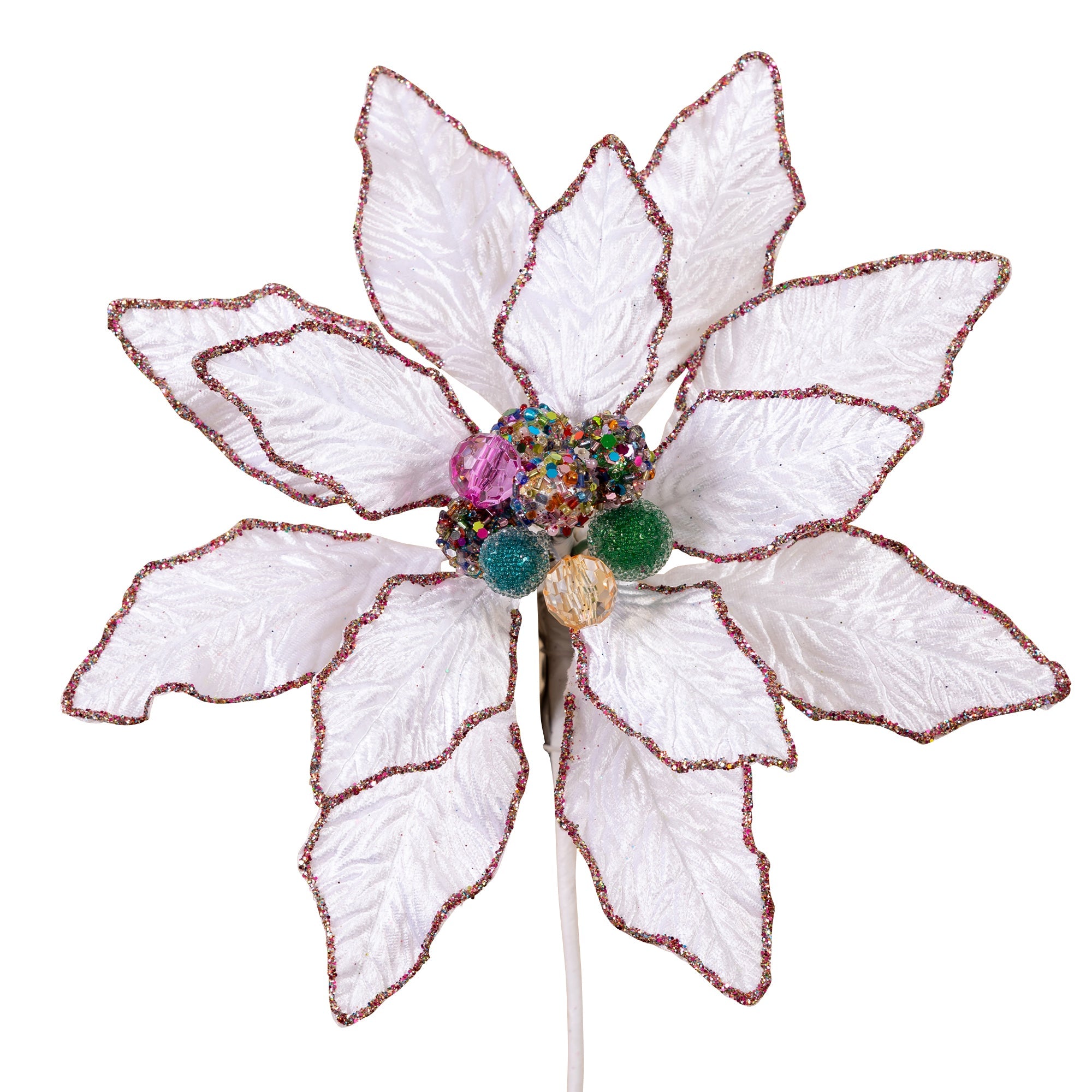 KALEIDOSCOPE POINSETTIA (PREORDER)